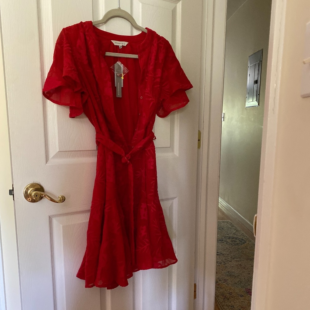 Never Worn Red Anthropologie Mini Dress - Picture 4 of 4